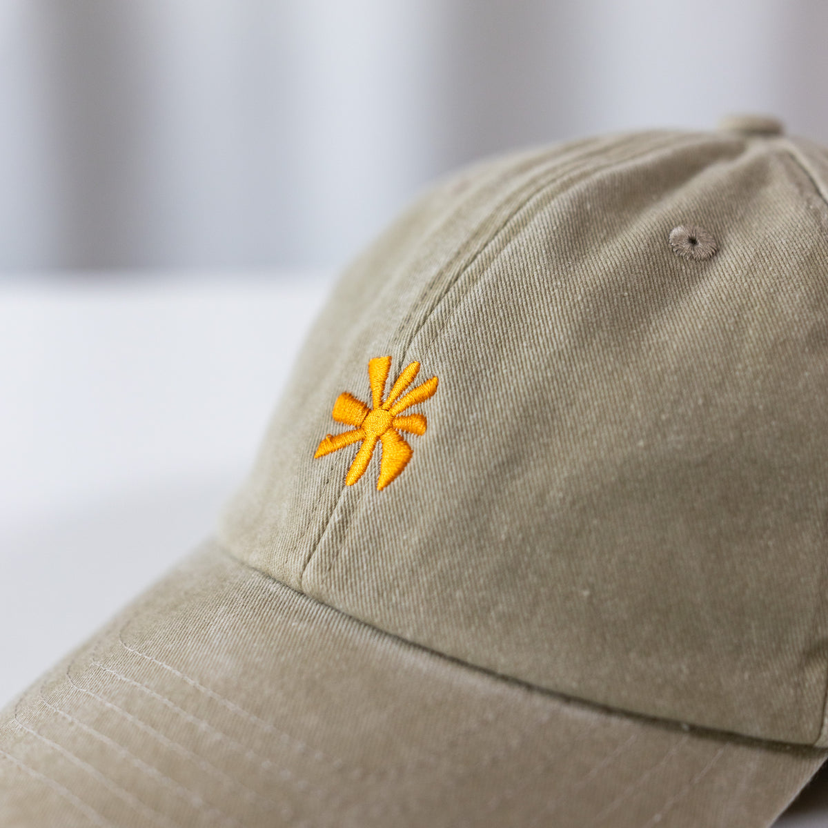 Washed Cap
